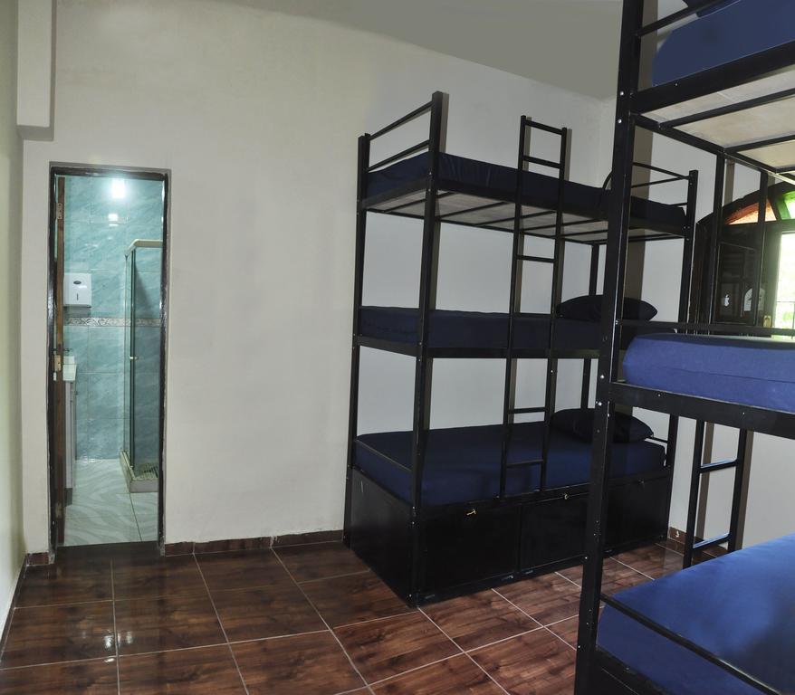 Le House Hostel リオデジャネイロ エクステリア 写真